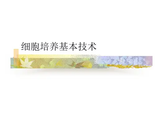 细胞培养基本技术PPT课件