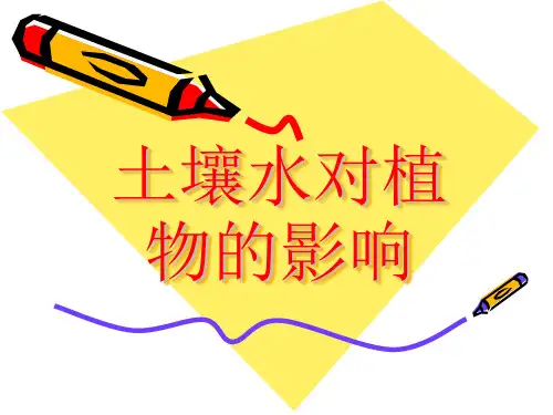土壤水对植物的影响