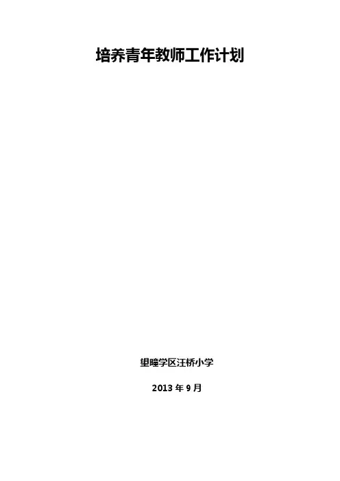 培养青年教师工作计划