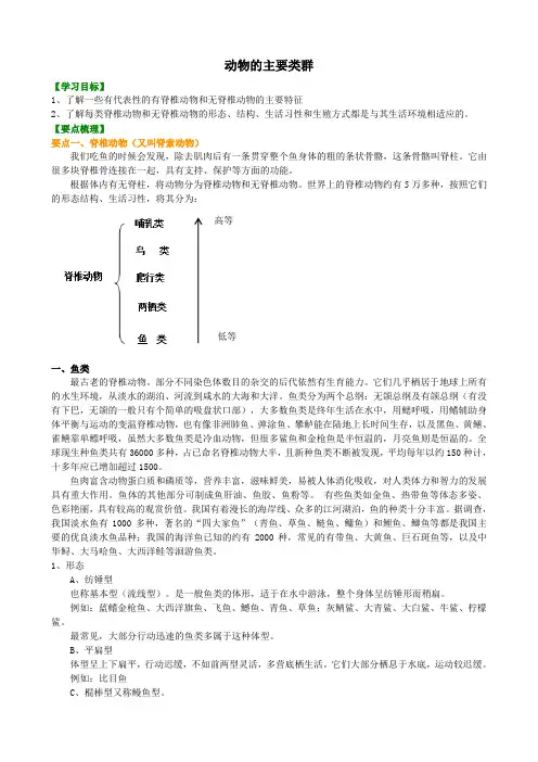 知识讲解 动物的主要类群
