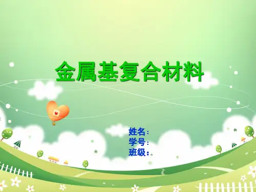 金属基复合材料  ppt课件