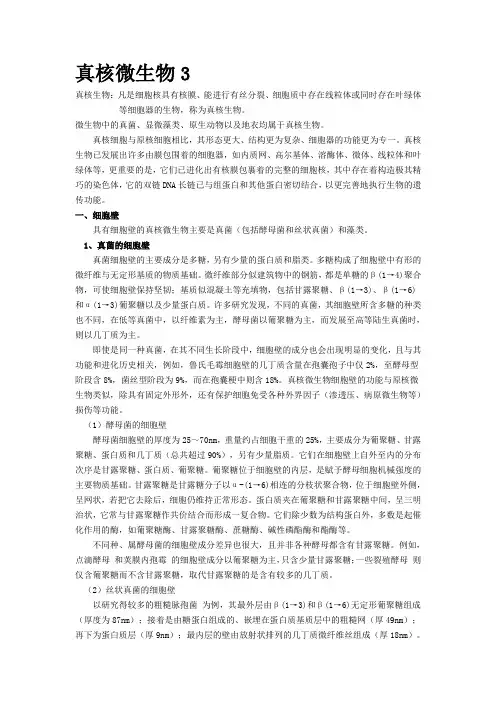 真核微生物