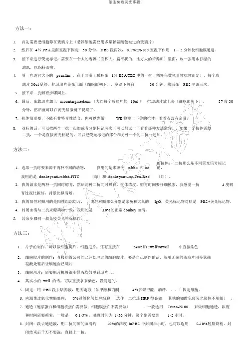 细胞免疫荧光步骤