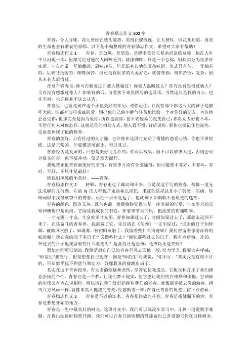 青春励志作文600字