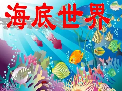 《海底世界》教学课件1