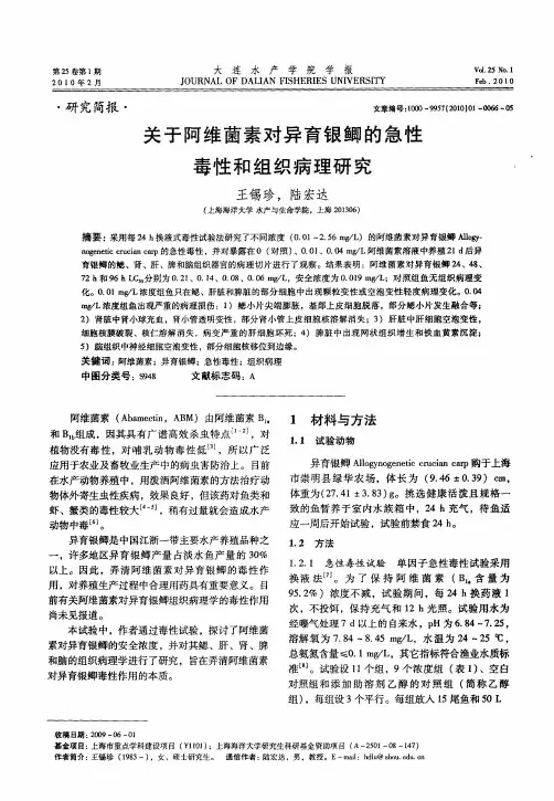 关于阿维菌素对异育银鲫的急性毒性和组织病理研究