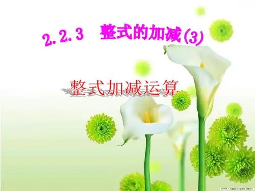 2.2整式的加减(4)