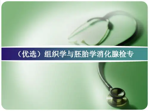 (优选)组织学与胚胎学消化腺检专