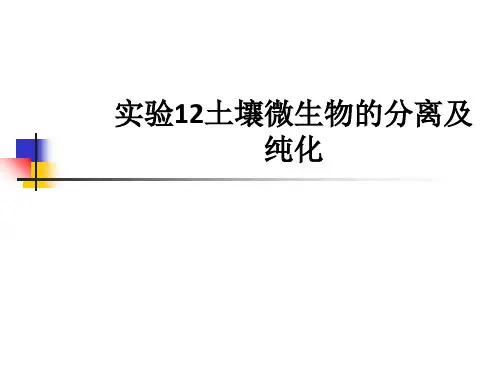 实验12土壤微生物的分离及纯化ppt课件