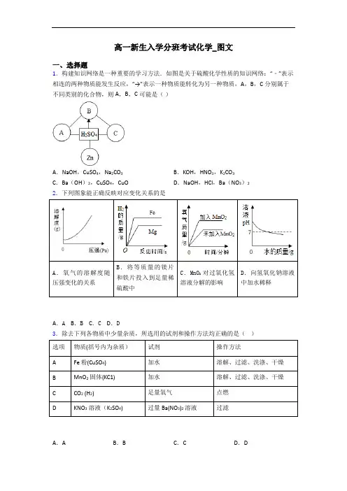 高一新生入学分班考试化学_图文