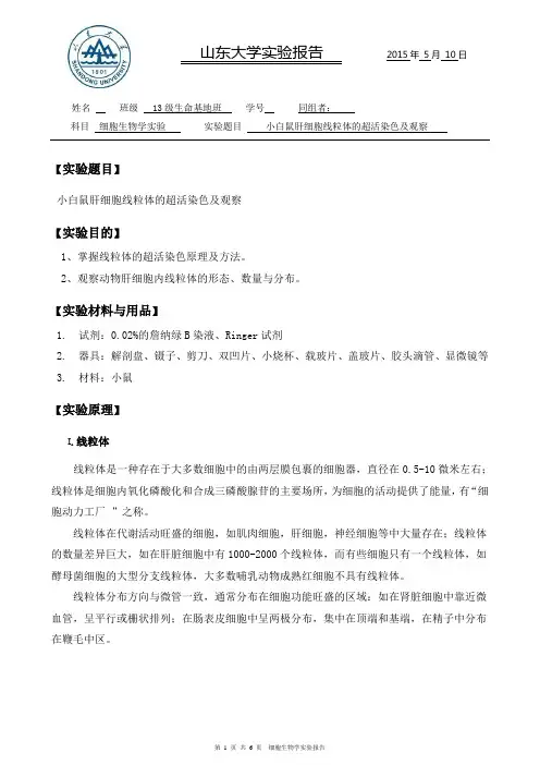 小白鼠肝细胞线粒体的超活染色及观察 实验报告