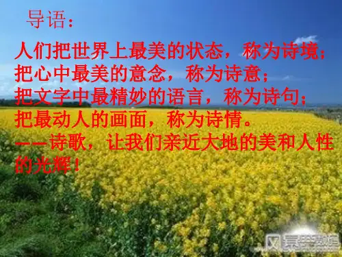 诗歌讲座PPT课件