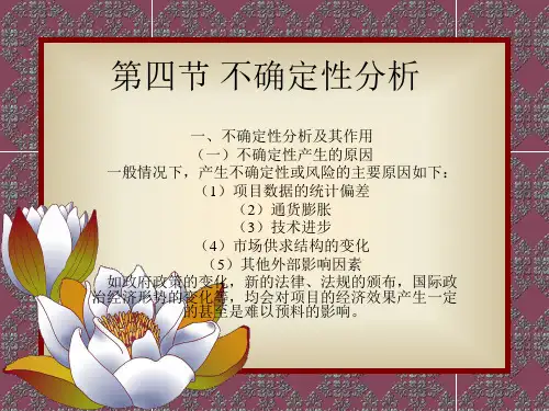 不确定性分析课件
