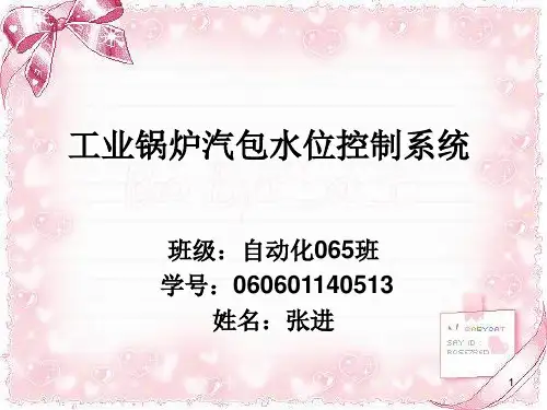 工业锅炉汽包水位控制系统