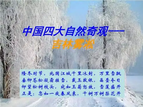 教育部审定苏教版四年级语文上册《雾凇》PPT课件1