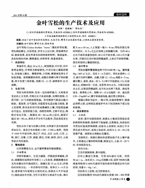 金叶雪松的生产技术及应用
