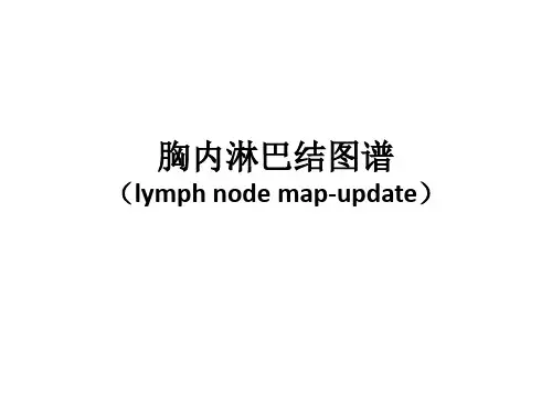 胸内淋巴结图谱课件