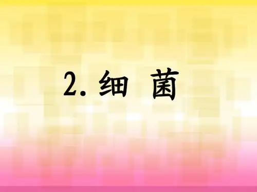 青岛版小学科学《细菌》