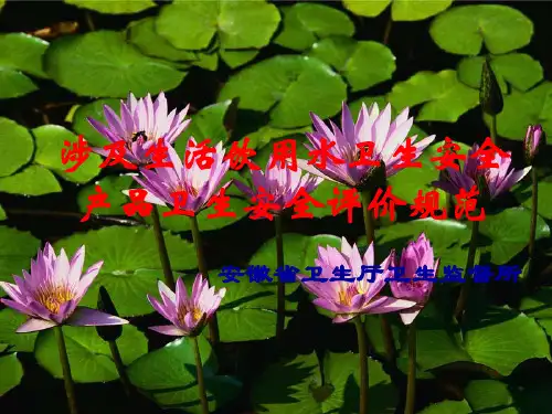 涉水产品卫生评价规范