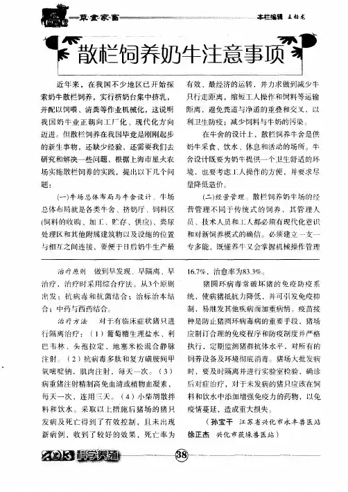 散栏饲养奶牛注意事项