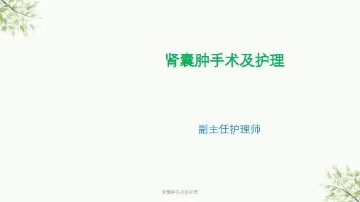 肾囊肿手术及护理课件