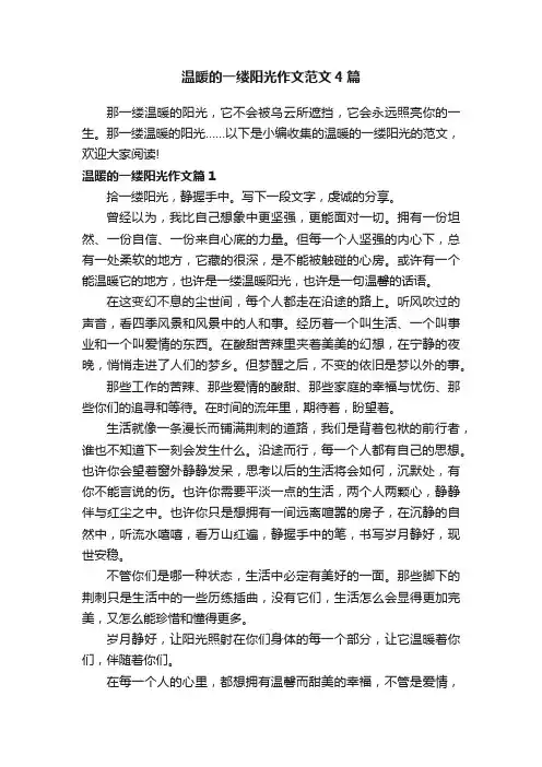温暖的一缕阳光作文范文4篇