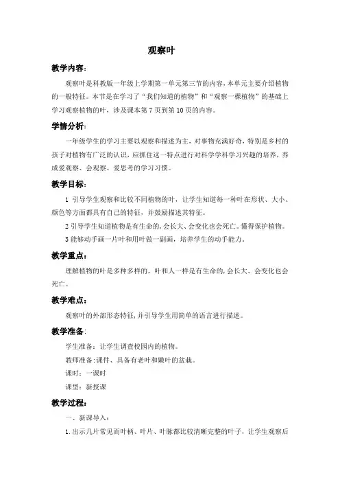 一年级科学上册《观察叶》教案