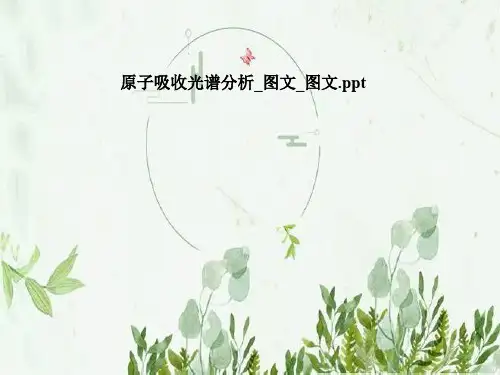 原子吸收光谱分析_图文_图文