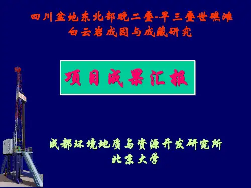 白云岩成因-1