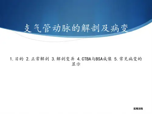 支气管动脉的解剖及病变