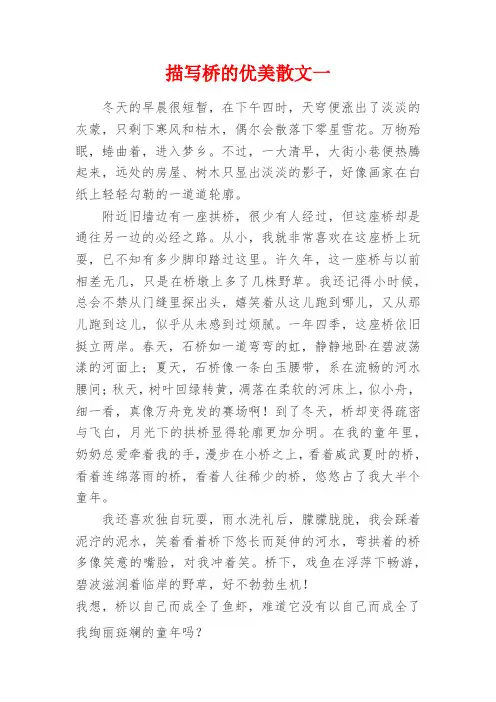 高中作文：描写桥的优美散文一