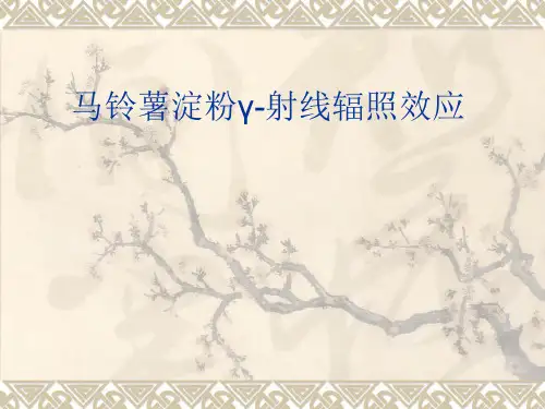马铃薯淀粉辐照效应