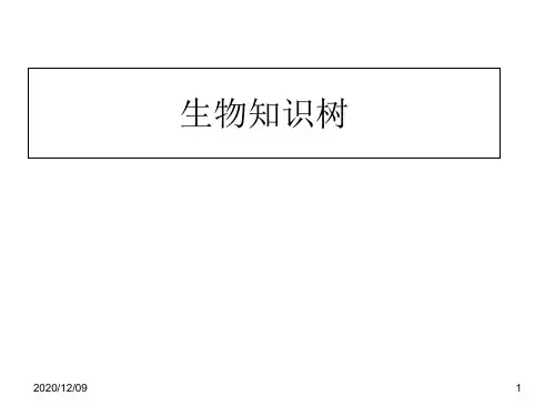七年级上册生物知识树PPT教学课件