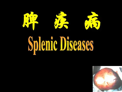 脾疾病分析课件