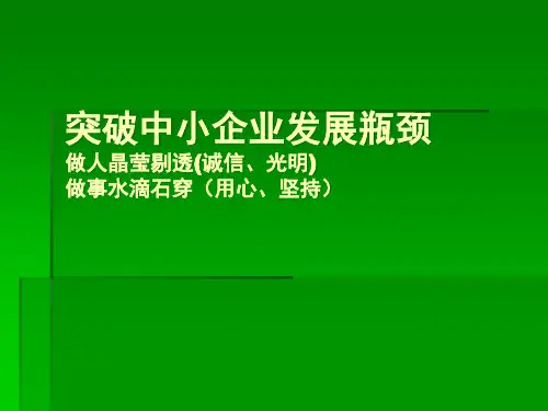 突破中小企业发展瓶颈.pptx