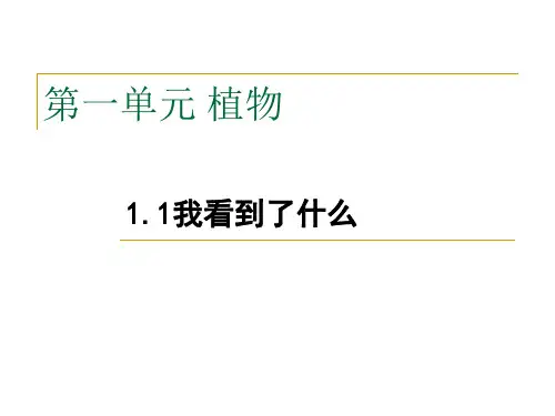 1.1我看到了什么