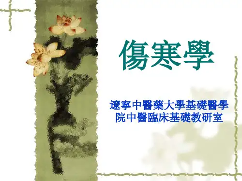【医学ppt课件】 伤寒学