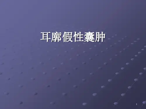 浆液性耳廓软骨膜炎PPT课件