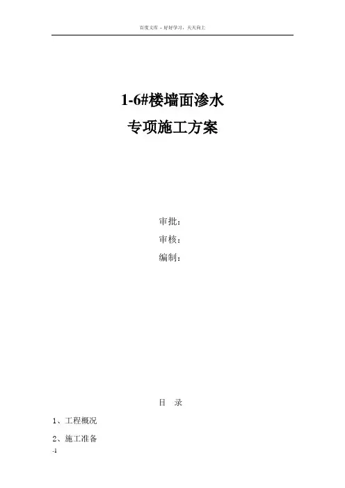 墙面渗水施工方案 2