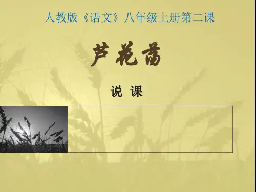 新人教版语文八年级上册第一单元第二课《芦花荡》说课课件(28张PPT) (共28张PPT)