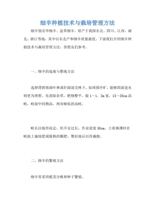 细辛种植技术与栽培管理方法