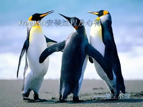 TCPIPFreebsd详细安装说明及心得汇报(图文结合)