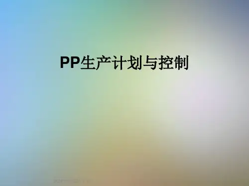 PP生产计划与控制