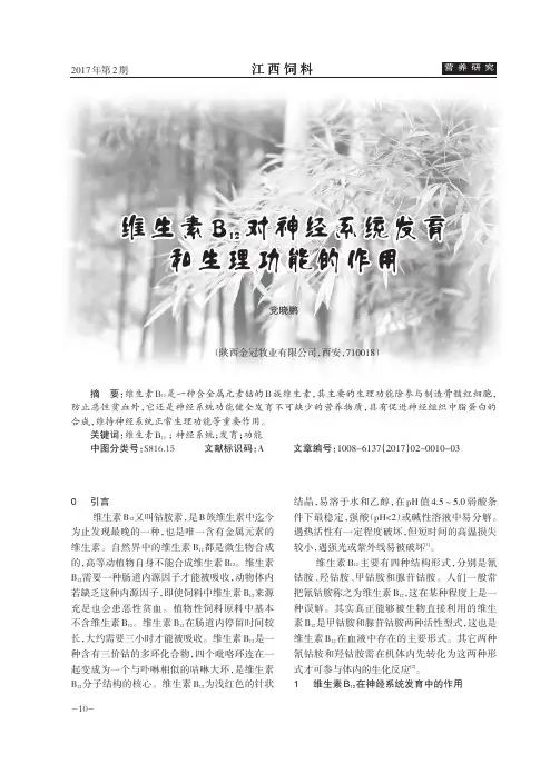 维生素B12对神经系统发育和生理功能的作用