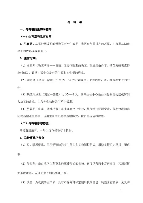 马铃薯种植技术