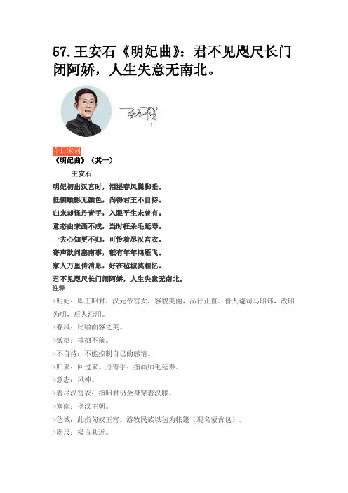 王安石《明妃曲》