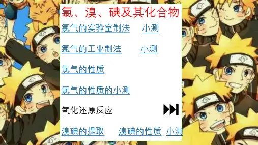 高中化学课件 氯溴碘