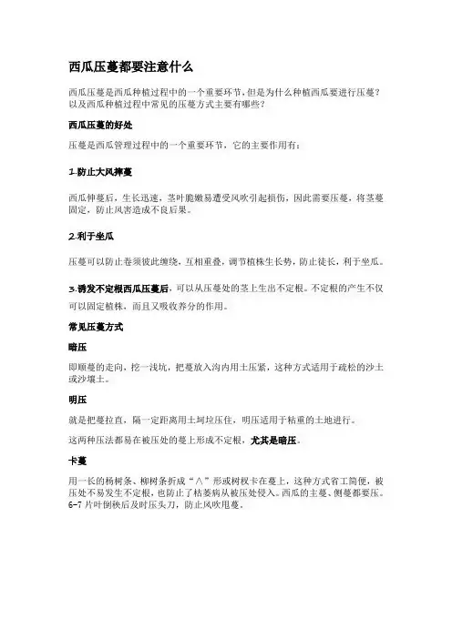 西瓜压蔓都要注意什么