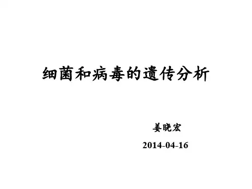 细菌与病毒遗传