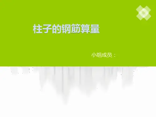 柱子的钢筋算量